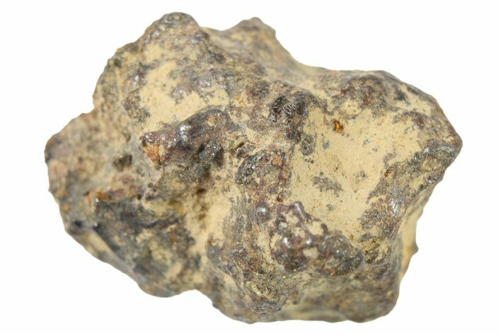 Bondoc Mesosiderite Meteorite ( g) - Philippines #266040